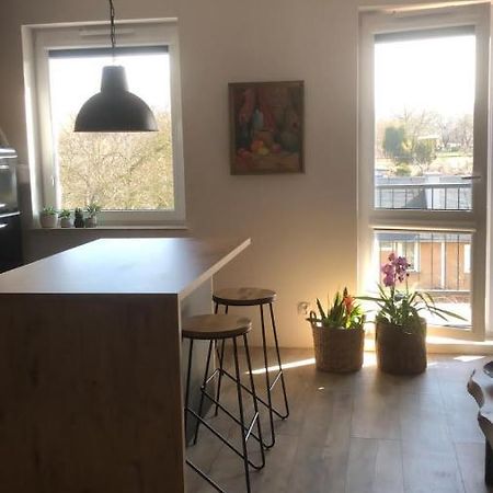 Apartament Goscinne Sady Malbork Exterior foto